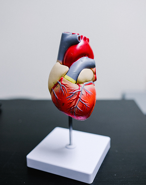 Cardiology